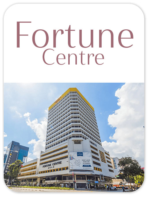 FORTUNE CENTRE project information