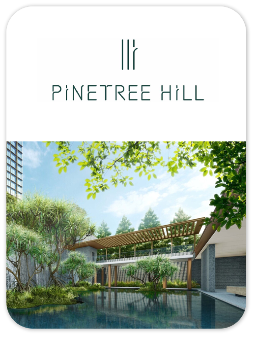 PINETREE HILL project information