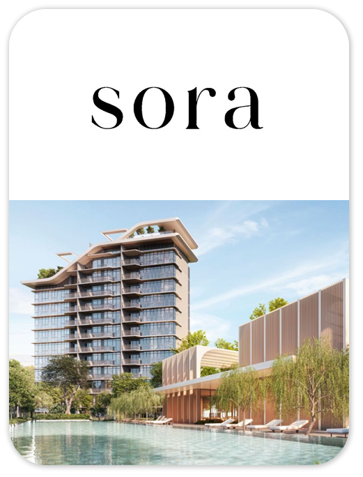 SORA project information