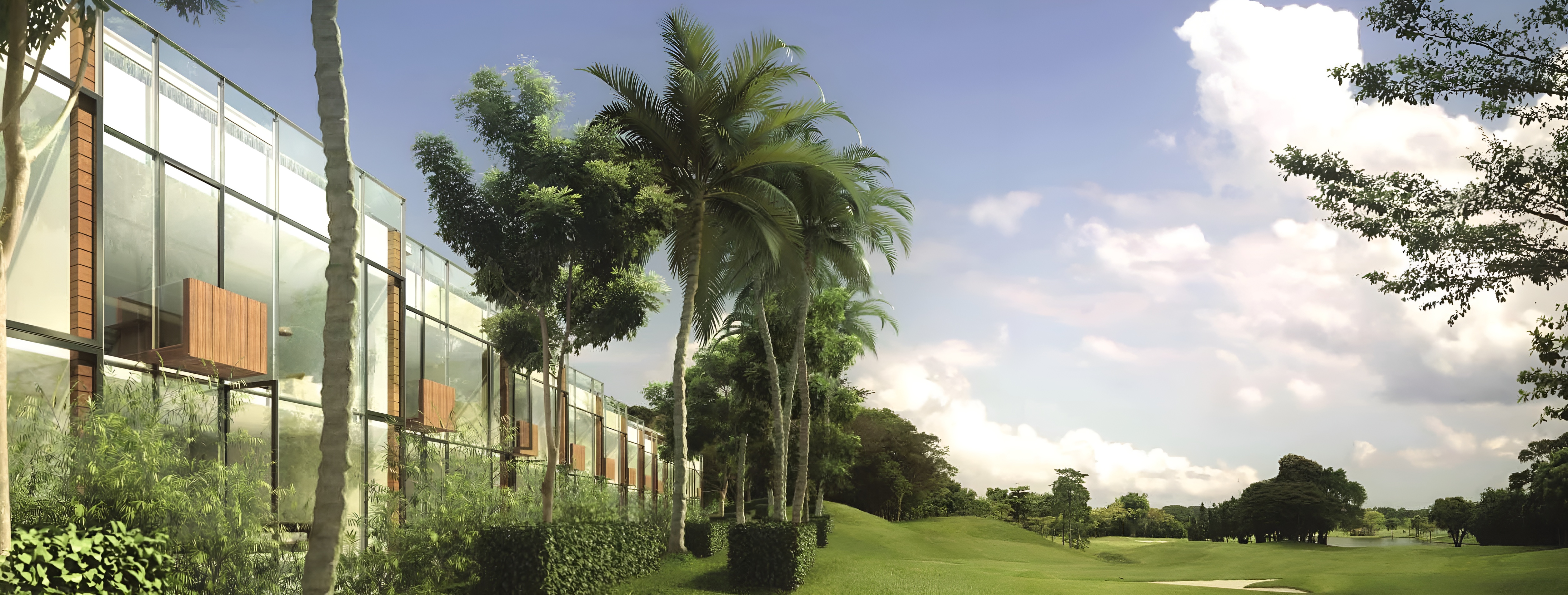 The Green Collection project information