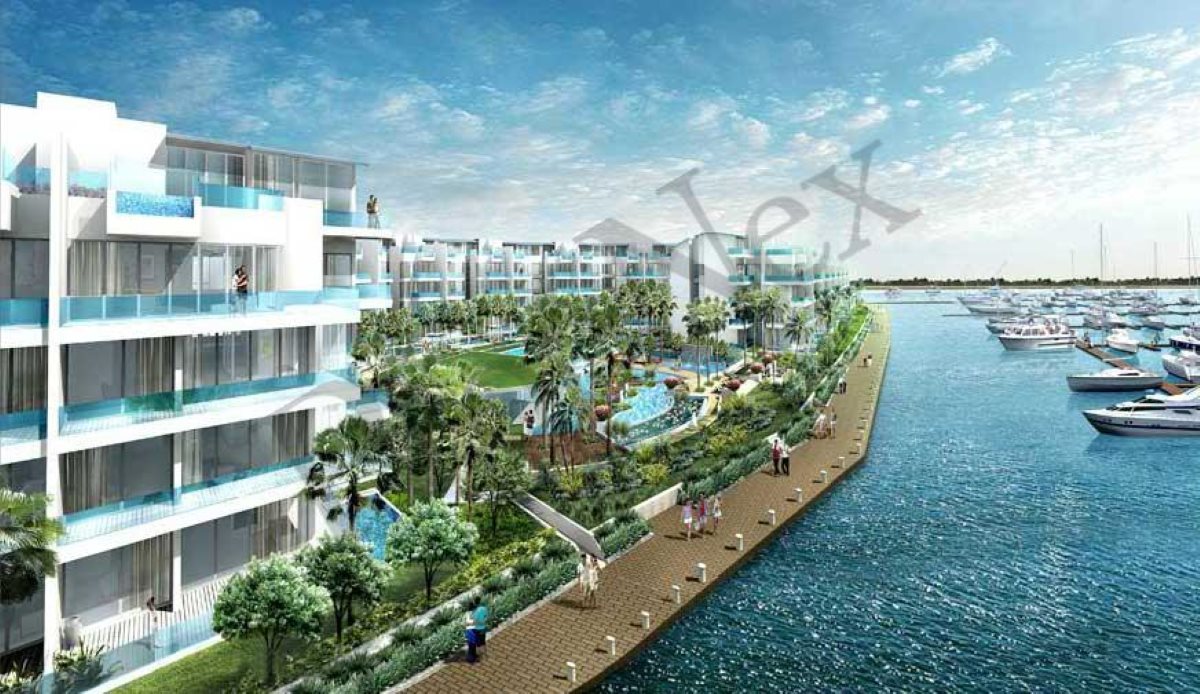Marina Collection gallery image 1