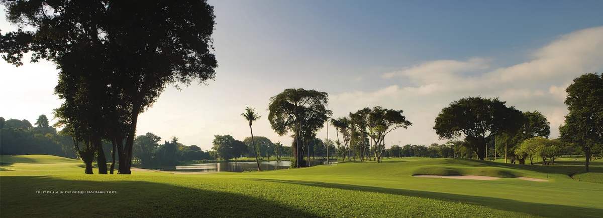 The Green Collection – Project image 5